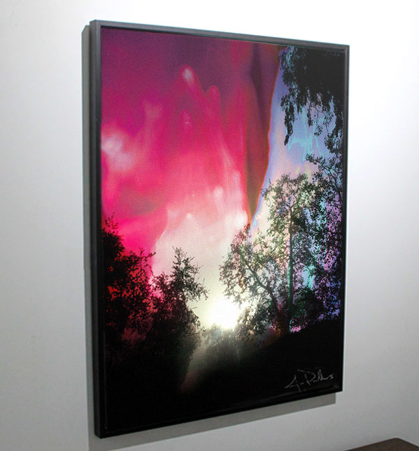 Jose Pasillas Art - Majestic Morning