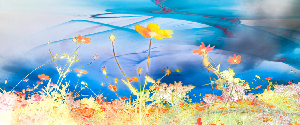 Jose Pasillas - Road to Anywhere